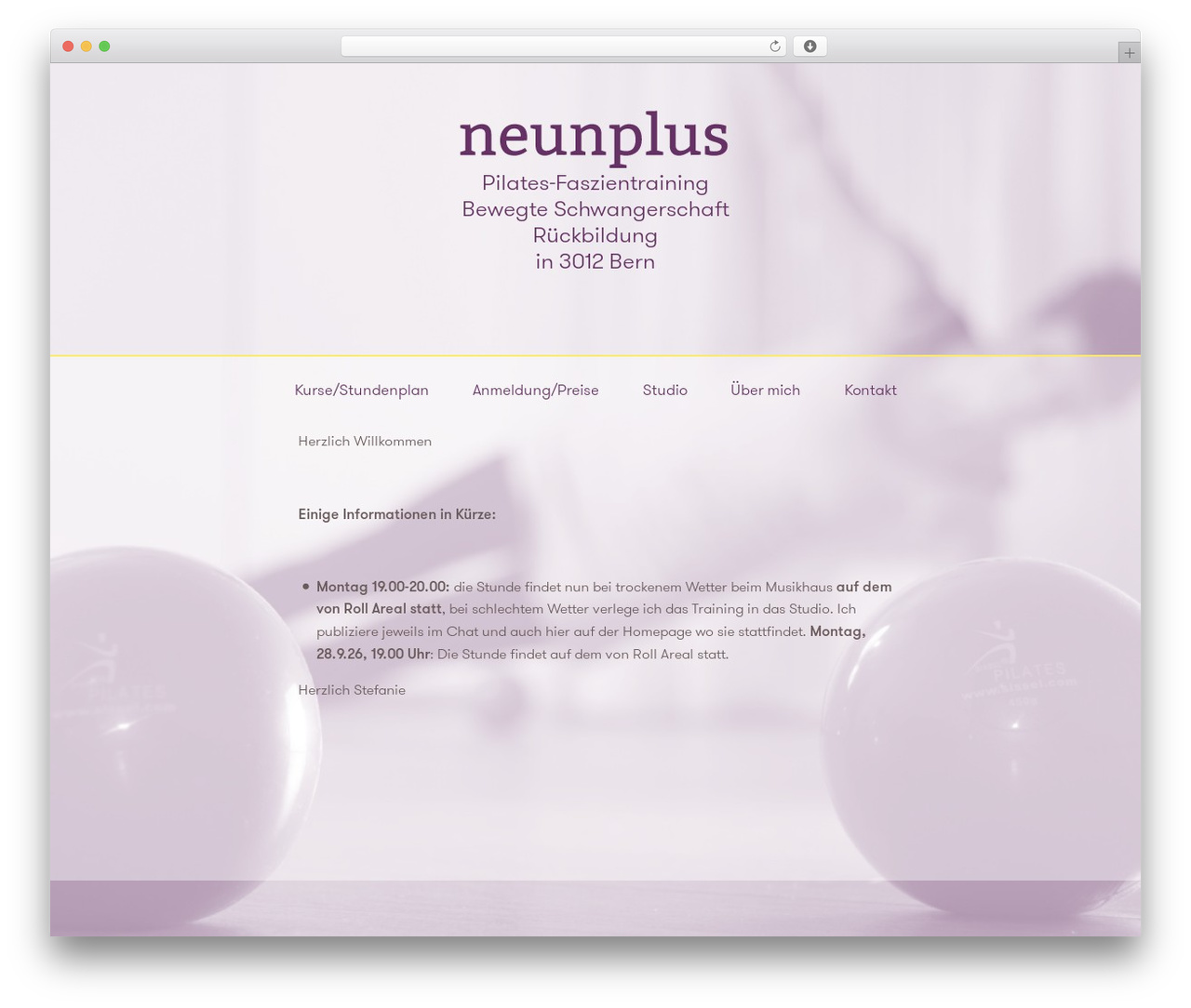 Neunplus WordPress theme design - neunplus.ch