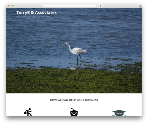 WordPress theme Optimizer PRO - terryb.net WordPress theme Optimizer PRO - terryb.net