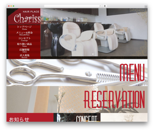 WordPress theme responsive_030 - chariss.net