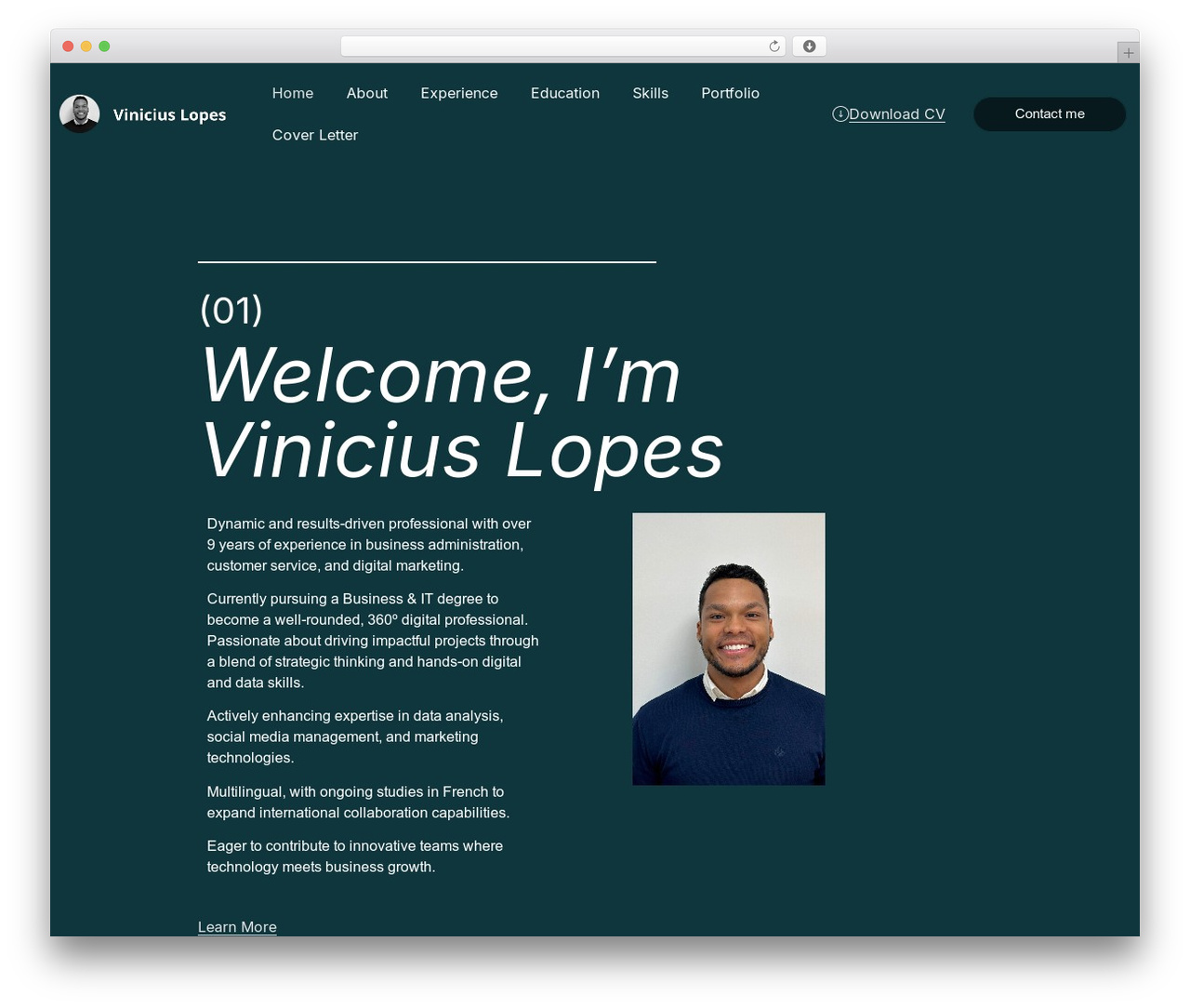 WP theme Hello Elementor - vinilopes.com WP theme Hello Elementor - vinilopes.com