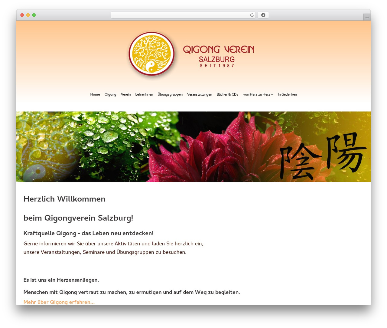 childtheme WordPress theme - qigong-salzburg.at