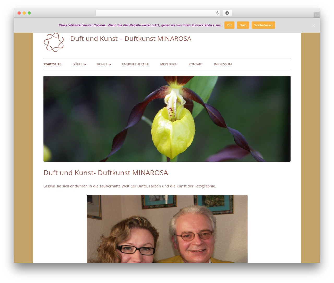 Tiny Forge theme WordPress - minaparfum.com