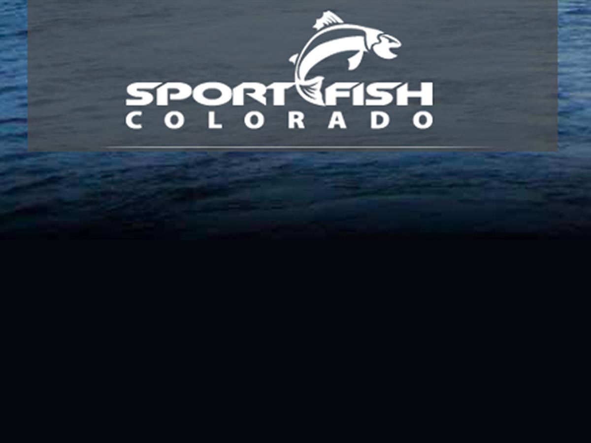 WordPress theme Sportfish by Run Sleep Design