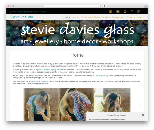 WordPress theme Di Responsive - stevie-davies.co.uk