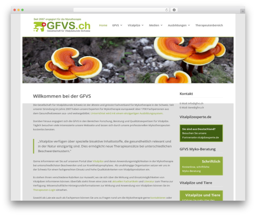 Gdpr compliant recaptcha for all forms WordPress plugin - gfvs.ch