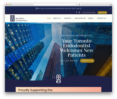 Divi WordPress website theme - baybloorendo.com