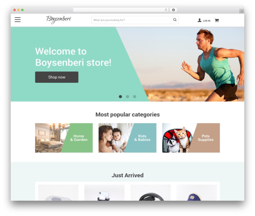 Alids WordPress plugin - boysenberi.com