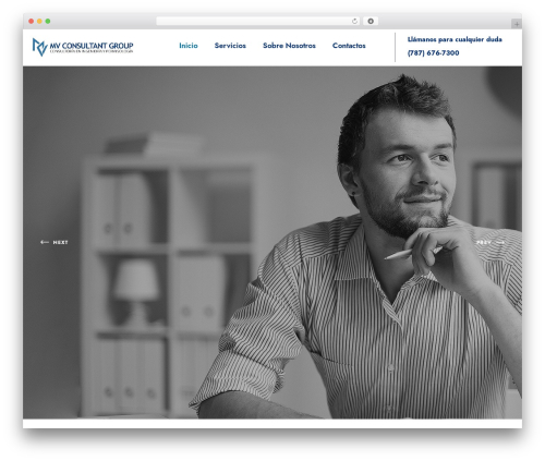 Aivons addon WordPress plugin - consultantmv.com