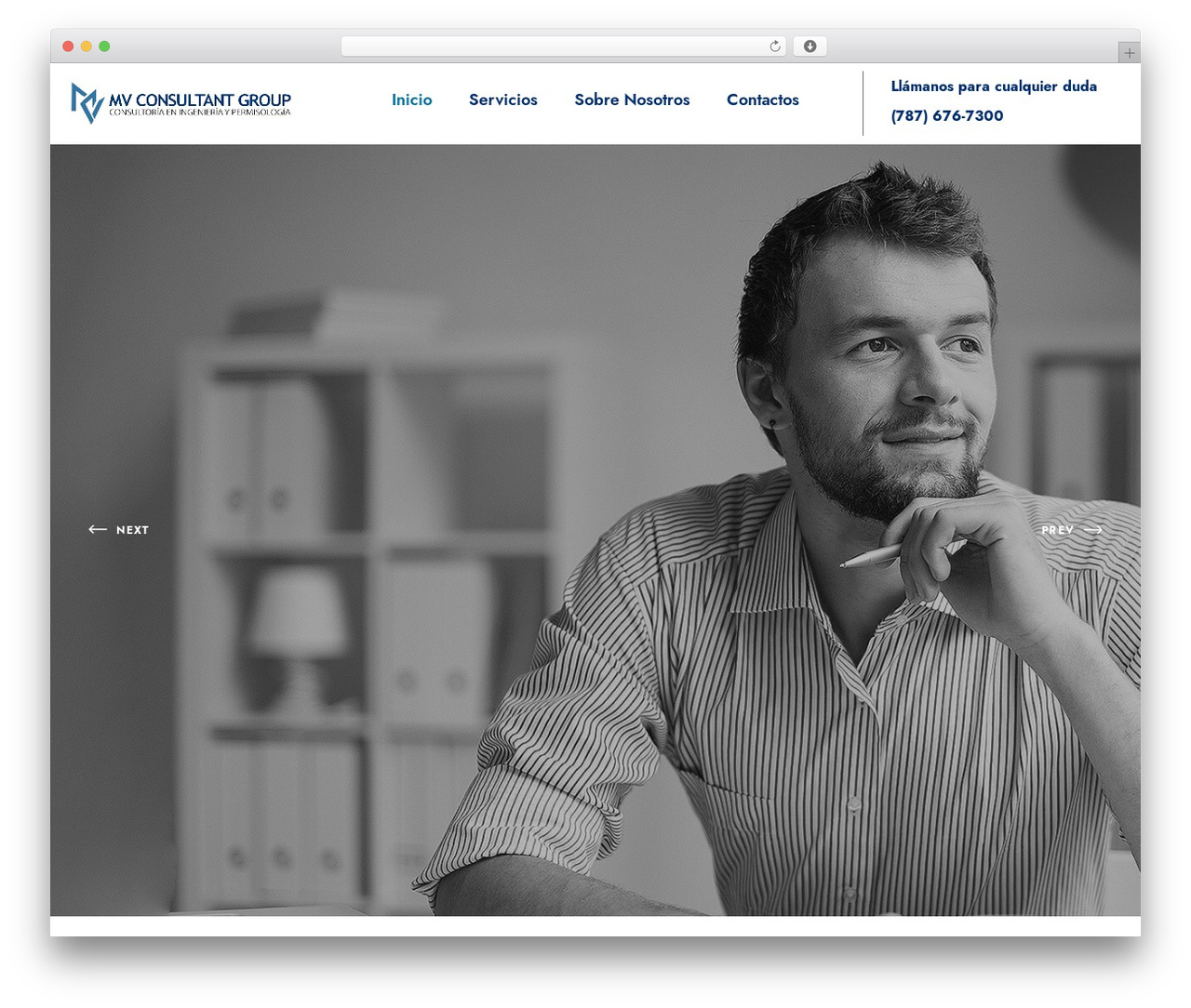 WordPress theme aivons - consultantmv.com