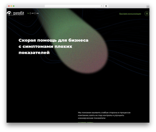 WordPress theme BOGDN.com - profitcons.com
