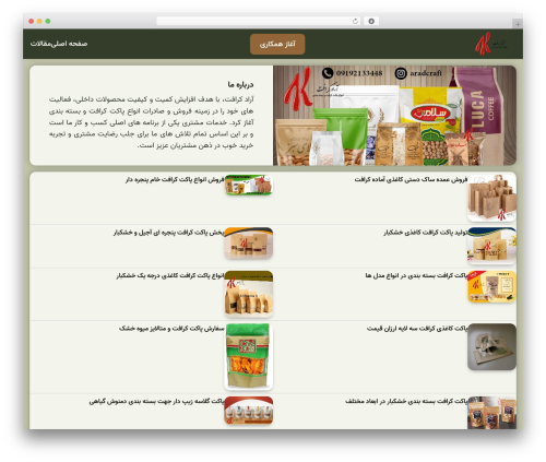 AradRolling WordPress theme - craftpakat.ir