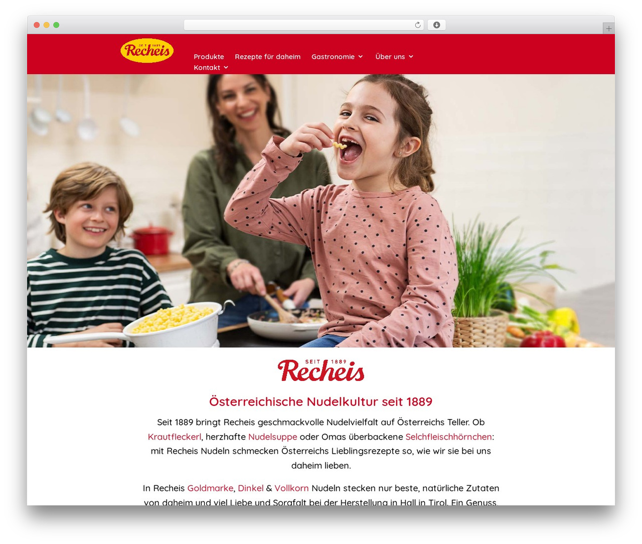 Divi WordPress theme - recheis.com Divi WordPress theme - recheis.com