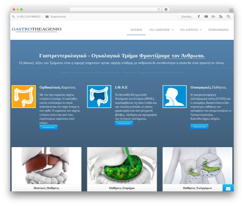 Envision core WordPress plugin - gastrotheagenio.gr