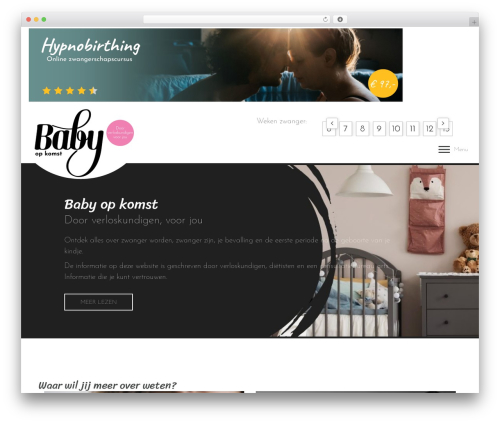 Bne navbar WordPress plugin - babyopkomst.nl
