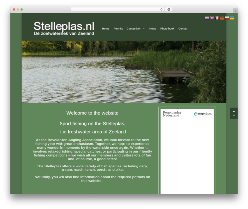 Divi WordPress theme - stelleplas.nl