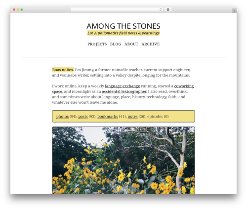 Simppeli premium WordPress theme - amongthestones.com