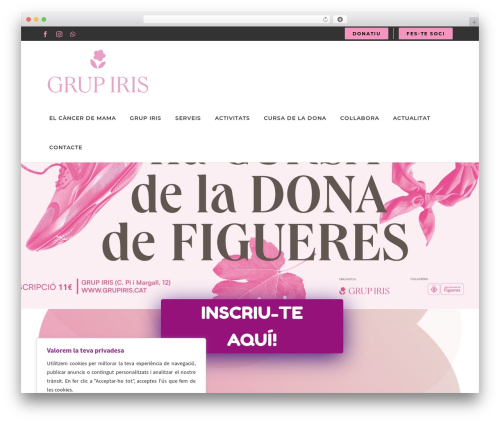Contact form 7 redsys addon WordPress plugin - grupiris.cat