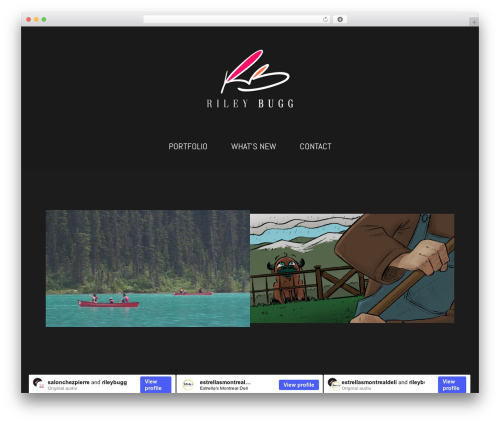 Project WordPress plugin - rileybugg.com