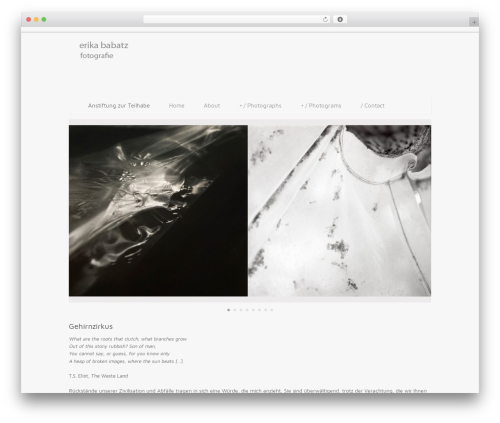 WordPress theme Coporlio - erikababatz.com