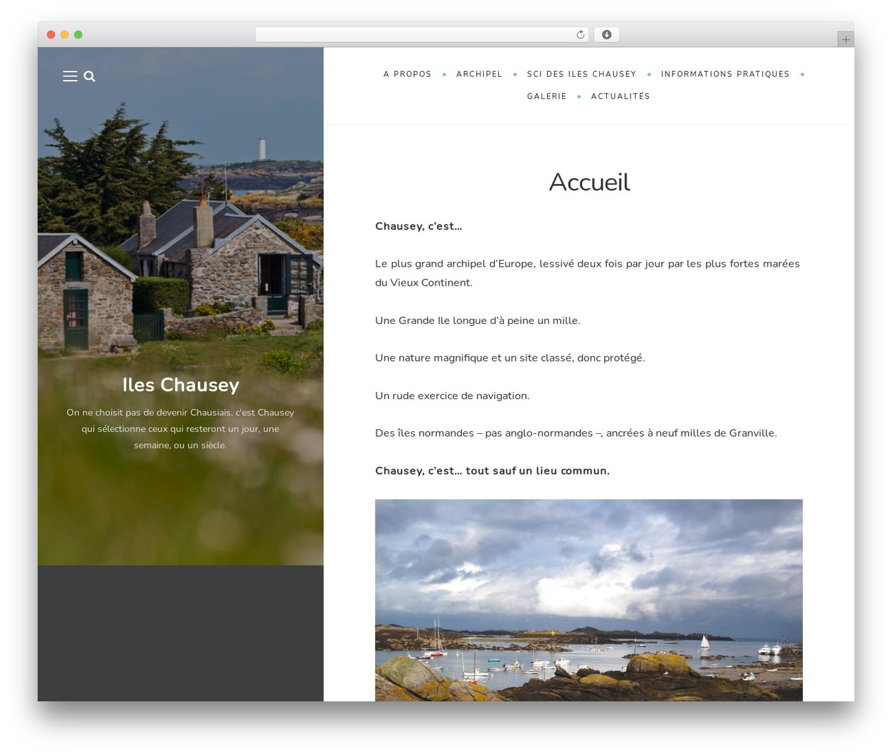 WordPress theme WildBook - ileschausey.com