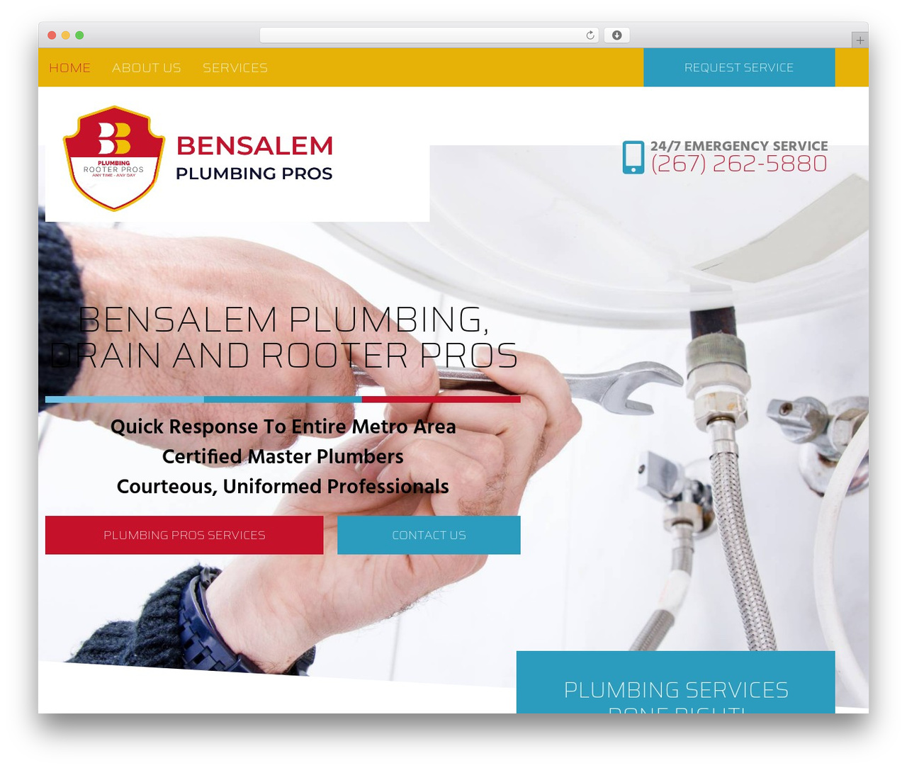 WordPress website theme Hello Elementor - bensalemplumbers.com WordPress website theme Hello Elementor - bensalemplumbers.com