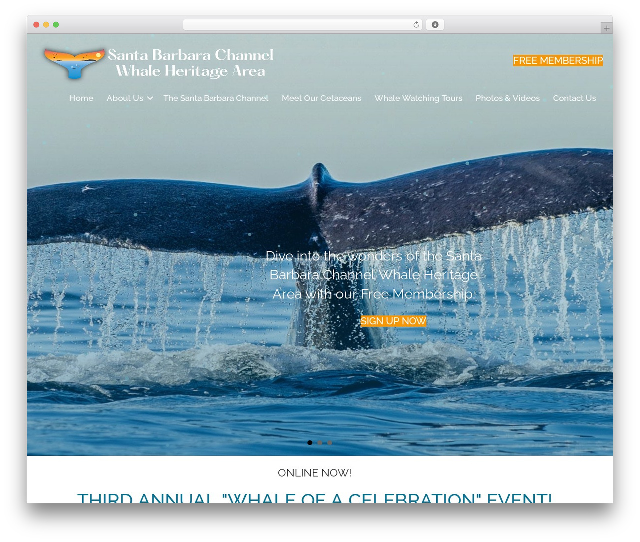 Beaver Builder Theme WordPress theme - sbwhaleheritage.org Beaver Builder Theme WordPress theme - sbwhaleheritage.org