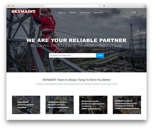 Vibe zoom WordPress plugin - skymaint.com