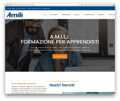 Themesflat WordPress plugin - amili.it