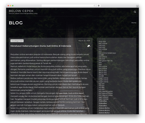 My multiple blocks WordPress plugin - belowcepek.com