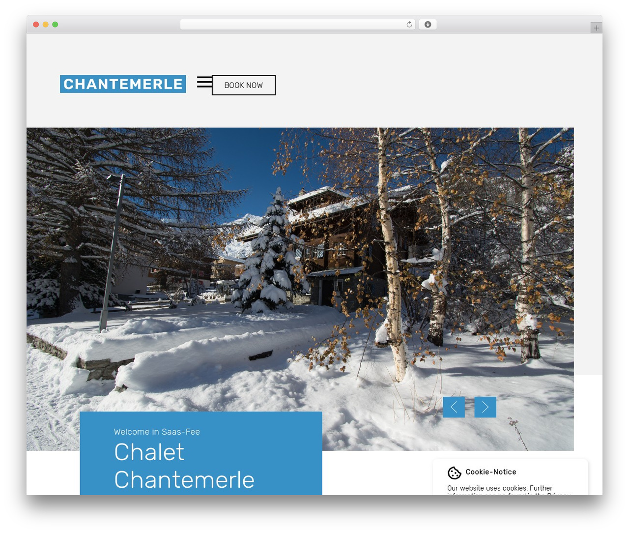 Hello Elementor WordPress theme - chaletchantemerle.ch Hello Elementor WordPress theme - chaletchantemerle.ch