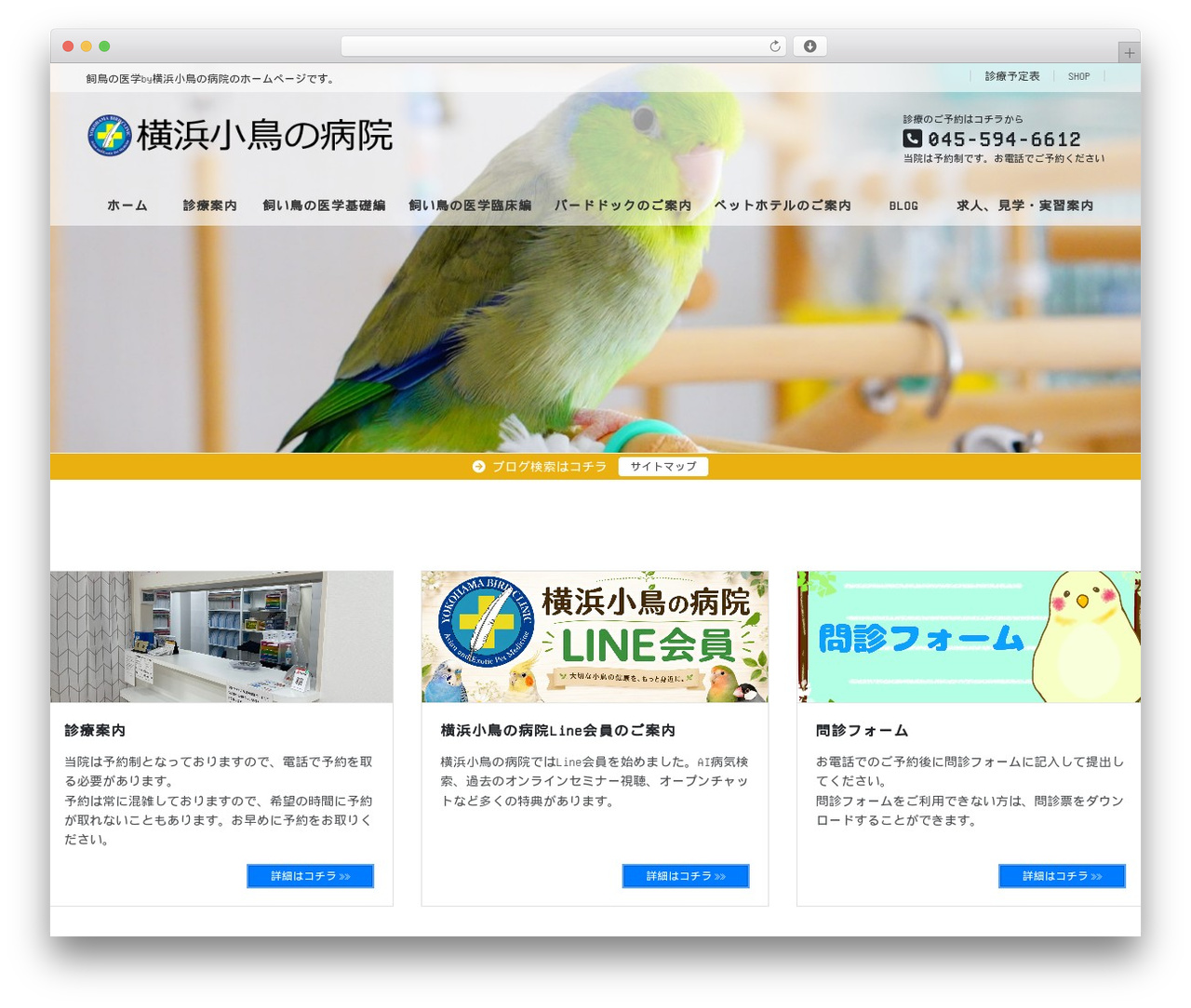 Lightning Pro WordPress theme - yokohamabirdclinic.jp