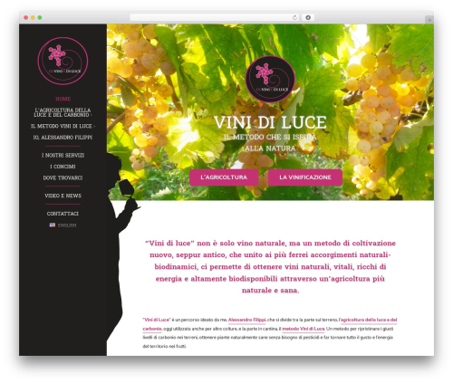 Optimizer PRO WordPress theme - vinidiluce.com