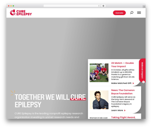Push10 Theme WordPress theme - cureepilepsy.org