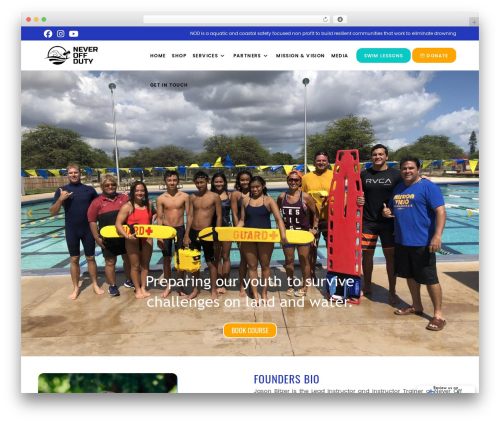 Elementor pro 3 WordPress plugin - neveroffduty.org