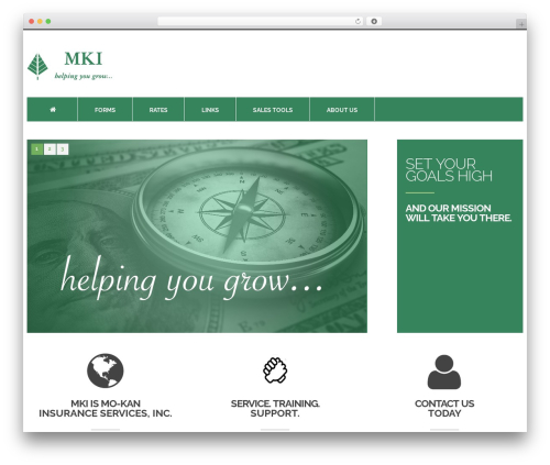 cherry WordPress theme - mkione.com