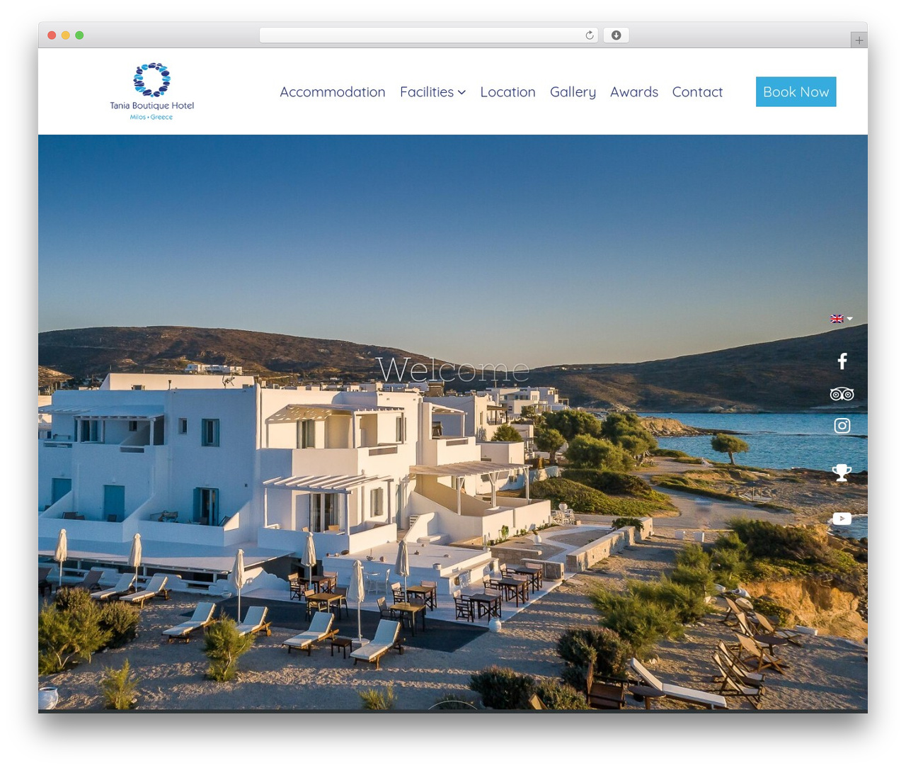 Codibee Theme WordPress theme - taniamilos.gr