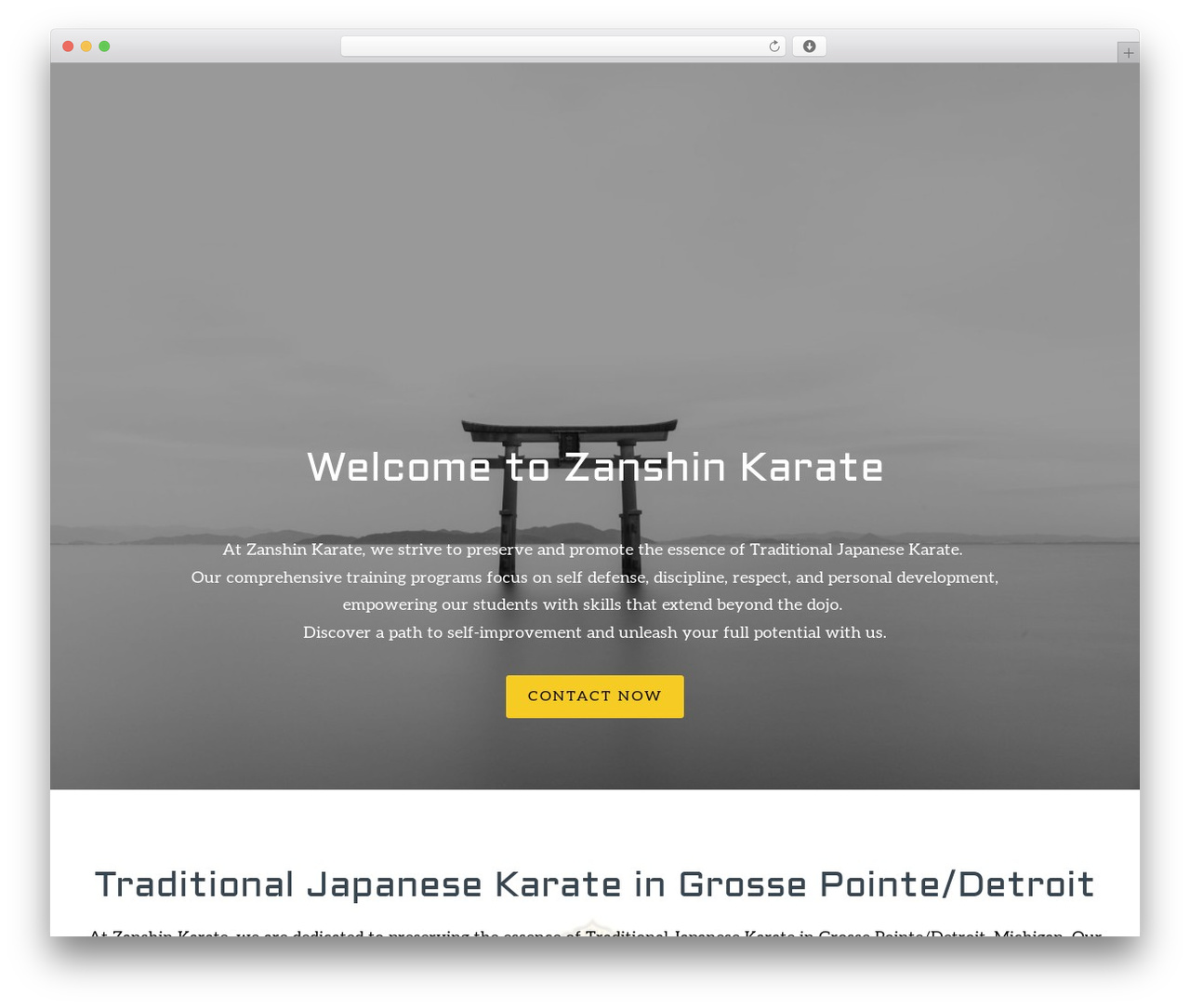 Constructor theme WordPress - zanshinkaratedojo.com Constructor theme WordPress - zanshinkaratedojo.com