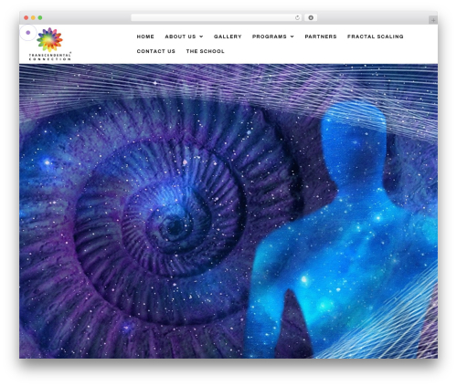 DEON WordPress theme - transcendentalconnection.com