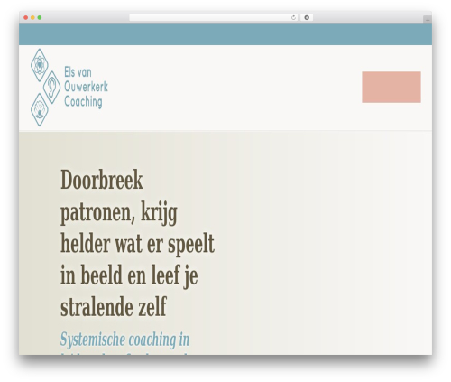 Bloom mini wiki WordPress plugin - elsvanouwerkerk.nl