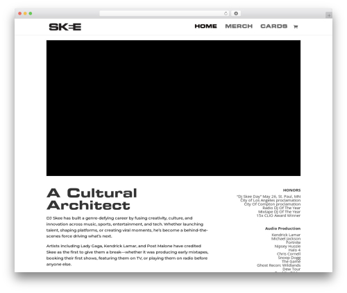 Ionos assistant WordPress plugin - djskee.com
