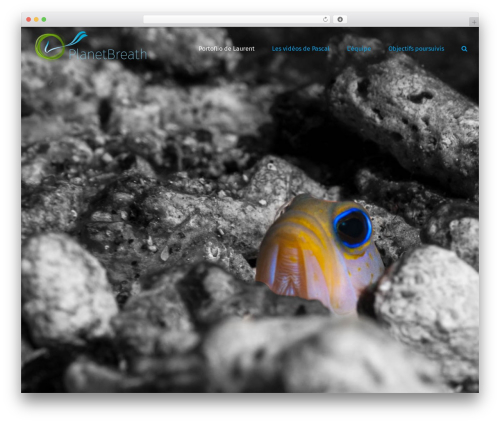 Theme WordPress Avada - planetbreath.ch