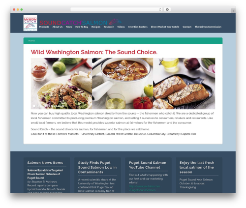 Contact bank eco edition WordPress plugin - soundcatch.org