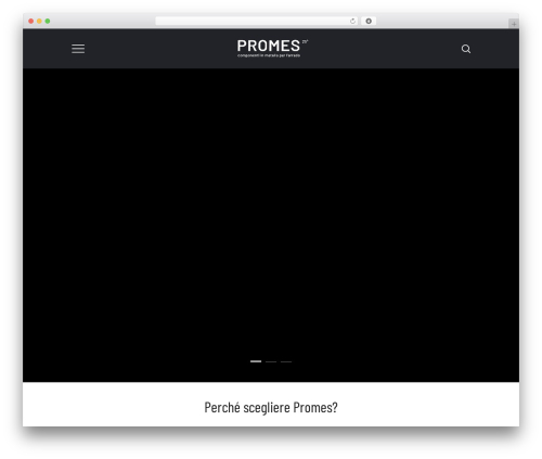 WordPress theme BrainBizz - promes-srl.com