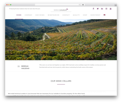 Visual Composer Website Builder, Landing Page Builder, Custom Theme Builder, Maintenance Mode & Coming Soon Pages (visualcomposer) free WordPress plugin - bodegasgallegas.com