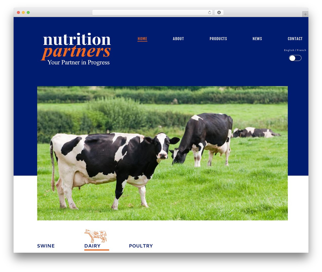 swbtheme WordPress theme - nutritionpartners.ca swbtheme WordPress theme - nutritionpartners.ca