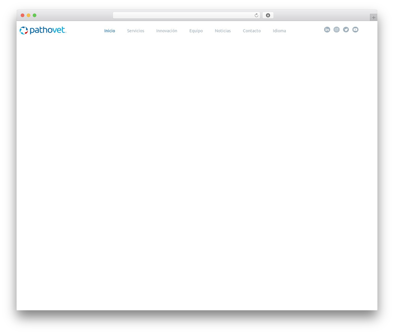 WordPress theme Tema - pathovet.cl WordPress theme Tema - pathovet.cl