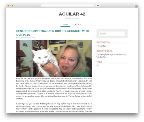 Best WordPress theme Monaco - aguilar42.com