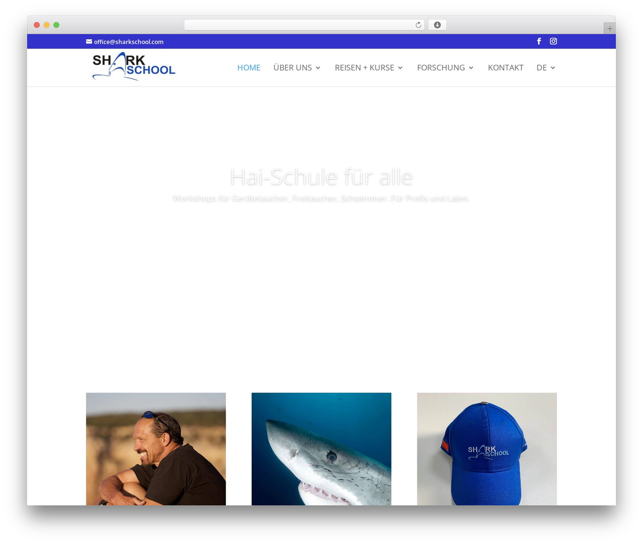 Divi WordPress theme - sharkschool.com Divi WordPress theme - sharkschool.com