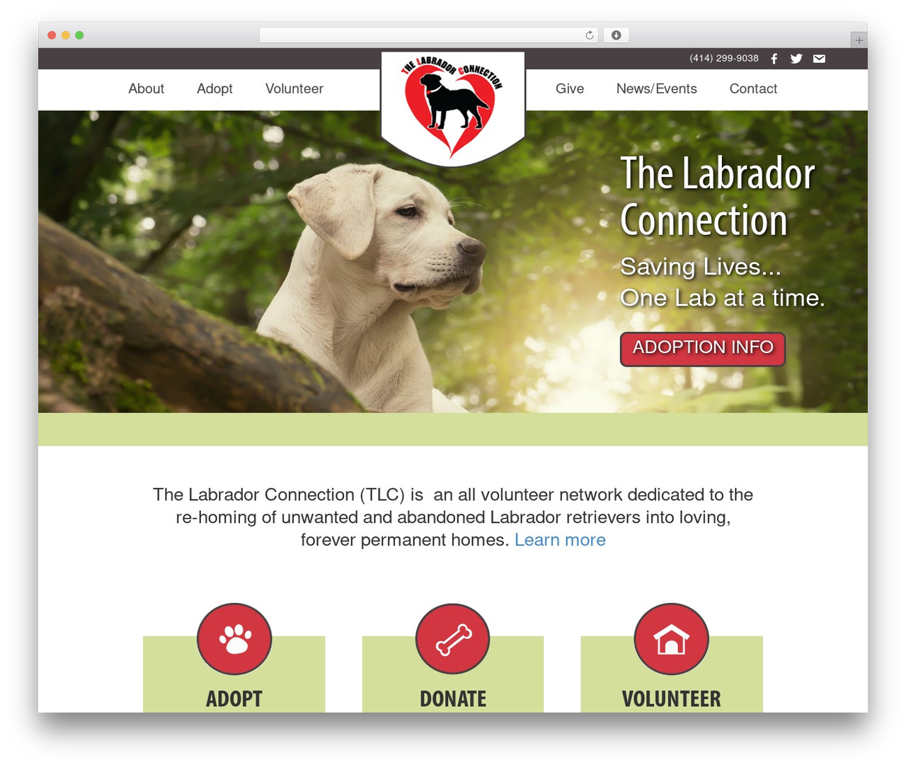 Executive Pro Theme WordPress theme - thelabconnection.org Executive Pro Theme WordPress theme - thelabconnection.org