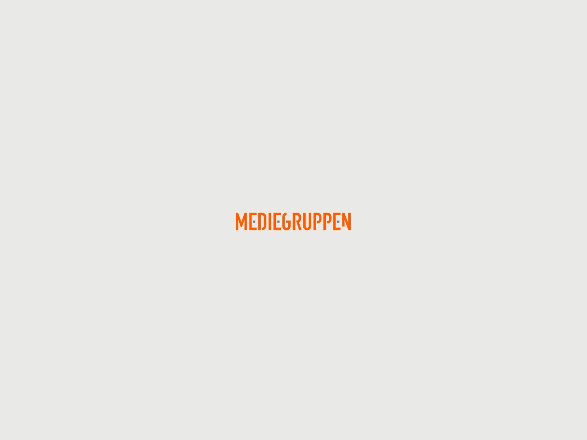 Template Theme WordPress theme by Mediegruppen as
